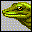 Phelsuma/2